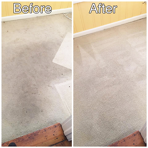 Carpet Stain Removal