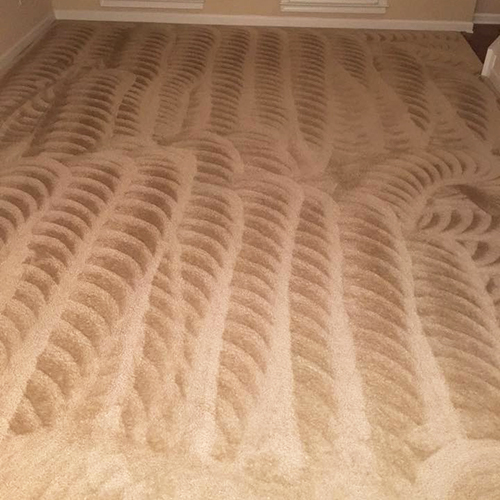 Professional Carpet Cleaning